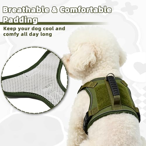 AIITLE Small Dog Harness No Pull, Reflective Adjustable Vest with Handle, No Choke Design, Dual Metal Leash Clips for Walking Training Running Camping, Small Medium Breeds - Green S - color: Green, size: S