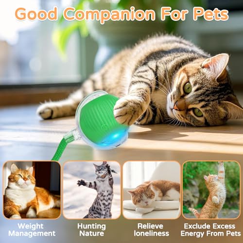Goosheep 2025 New 1Pack Cat Ball Kitten Toys for Indoor Interactive Kitty Ball Toy Speedy Tail 360° Automatic Rolling for Dog, Cat(Green) - size: 1 Pack