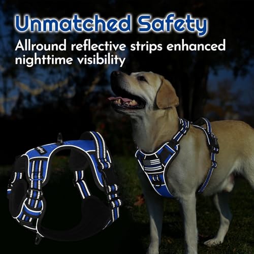 Dog Harness Small Sized, Easy Wearing with 3 Buckles, Adjustable No Pull Pet Harness with 2 Rings for Walking, No Chock Reflective Soft Padded Vest with Control Handle, Blue & Black, S - color: Blue & Black, size: Small