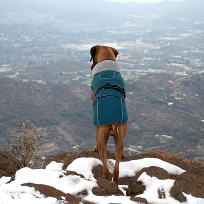 Lelepet Warm Dog Coats for Small Dogs Waterproof Dog Winter Jacket Reflective Pet Fleece Vest Windproof Cold Weather Coats with Adjustable Buckle & Leash Hole, Dark Green, S - color: Dark Green, size: S