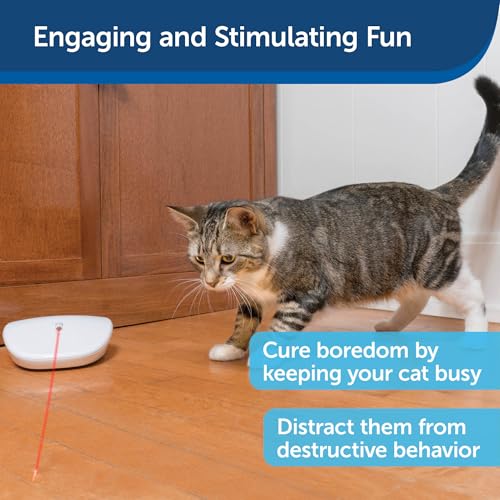 PetSafe Laser Tail - Automatic Cat Laser Toy - Interactive - Relieves Anxiety - Moves Around Floor to Create Random Laser Patterns - Hands-Free Play - Auto Shutoff Prevents Overstimulation - style: Laser Tail
