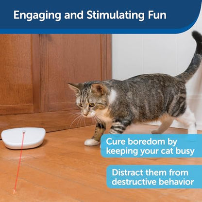 PetSafe Laser Tail - Automatic Cat Laser Toy - Interactive - Relieves Anxiety - Moves Around Floor to Create Random Laser Patterns - Hands-Free Play - Auto Shutoff Prevents Overstimulation - style: Laser Tail