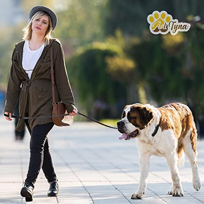 ADITYNA Heavy Duty Leather Dog Leash 6 ft x 1" - Strong, Soft Training Lead for Large & Extra Large Breeds (XL - 6 ft x 1 inch, Black) - color: Black, size: XL - 6 ft x 1 inch