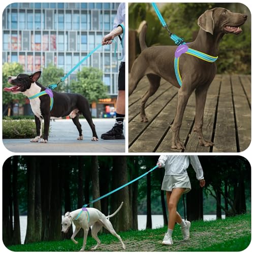 Kazazoo No Pull Small Dog Harness and Leash Set, Adjustable Puppy Soft Vest Harness with Breathable Mesh Padded, Reflective Lightweight Harness with Buckle for Medium Large Dogs, Blue L - color: Yellow&Blue, size: L