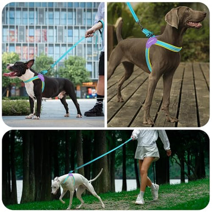 Kazazoo No Pull Small Dog Harness and Leash Set, Adjustable Puppy Soft Vest Harness with Breathable Mesh Padded, Reflective Lightweight Harness with Buckle for Medium Large Dogs, Blue L - color: Yellow&Blue, size: L