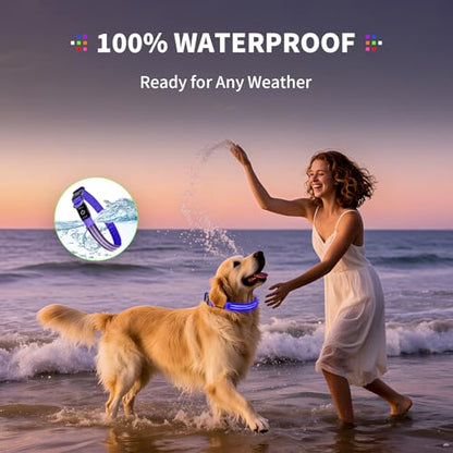 Dog Light up Collar for Night Walking - High Visibility LED Dog Collar - Rechargeable - Waterproof - Reflective - Adjustable Lighted Glow Collars(Blue,Medium) - color: Blue, size: Medium (14" - 19" )