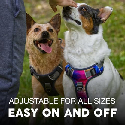 Embark Adventure Small Dog Harness – No-Pull, Reflective Trim, Military-Grade Nylon, Front Clip with Gel-Lined Handle, Soft & Padded Puppy Harness - color: Aurora, size: S