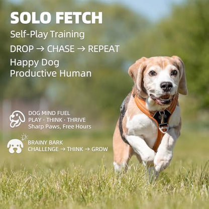 Automatic Dog Ball Launcher-Small Silent Dog Ball Thrower, 3 Adjustable Distances (20ft/33ft/46ft), Rechargable,Includes 3 Durable 2.3" Balls for Small/Medium Dogs (Blue, Medium) - color: Blue