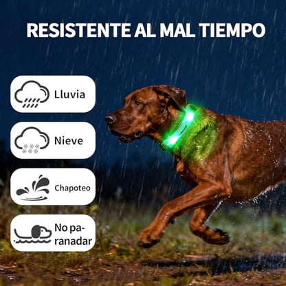 LaRoo LED Dog Collar Light, High Visibility Pet Safety Night Light with Hook & Loop, Waterproof Glow LED Strip for Dog Collar Leash Harness, Perfect for Night Walking Running, Camping, Outdoor, Green - color: Green