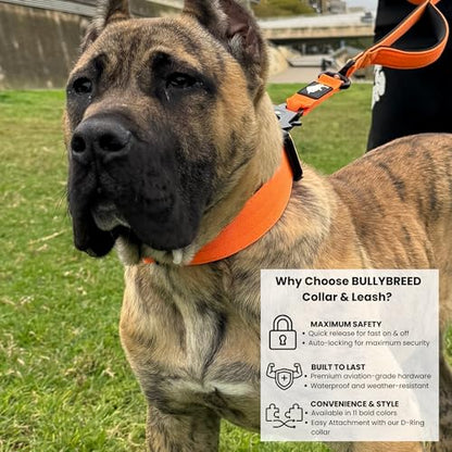 BULLYBREED | Heavy Duty Dog Leash, Tactical Dog Leash, Quick Release Frog Clip with Anti-Tangling Swivel System for Large Dogs that Pull with Soft Double Handles (5 FT Long, Orange) - color: Orange Double Handle