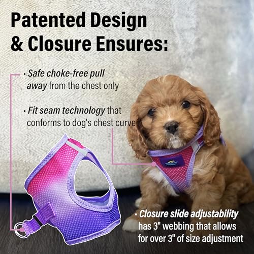 Doggie Design Dog Harness - No Choke Dog Harness, Dog Vest, Mesh Polyester, Pet Harness, Simple Step in and Go Design, Harness for Dog - Raspberry Sundae, XXS - color: Raspberry Sundae, size: XX-Small