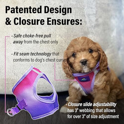 Doggie Design Dog Harness - No Choke Dog Harness, Dog Vest, Mesh Polyester, Pet Harness, Simple Step in and Go Design, Harness for Dog - Raspberry Sundae, XXS - color: Raspberry Sundae, size: XX-Small