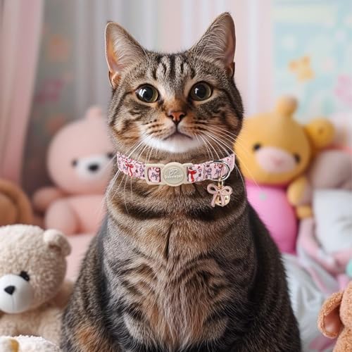 2 Pack Sweet Girly Cat Collars - Elegent Bow Breakaway Cat Collar with Bell & Matching Pendant, Adjustable Spring Summer Pink Purple Kitten Collars for Girl Cats - color: Fruit Bow