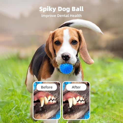 8 Pack 2.5” Squeaky Dog Balls for Small and Medium Dogs, Spiky Balls for Teething Puppies - color: Samll Set of 8