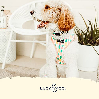 Lucy & Co. Dog Collar - Durable Lightweight Designer Collar for Pets - Adjustable Metal Safety Buckel. (Howdy, Honey, Small). - color: Howdy, Honey, size: Small