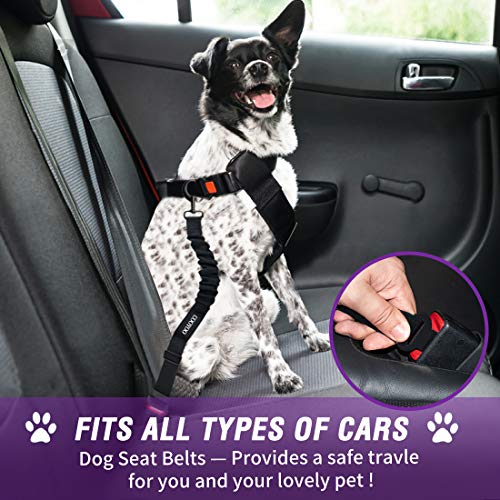 Dog Seat Belt,3 Piece Set Retractable Dog Car Harness Adjustable for Vehicle Nylon Pet Safety Heavy Duty & Elastic - color: Set 04-Black+Purple