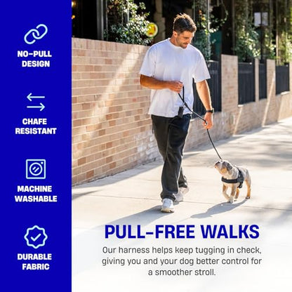 Dog Friendly Co. Dog Harness | Chafe Resistant Webbing, Adjustable Neck & Chest, and Heavy Duty D-Ring | Sturdy, Comfortable, Easy to Use | Classic Blue, Size M - color: Classic Blue, size: Medium