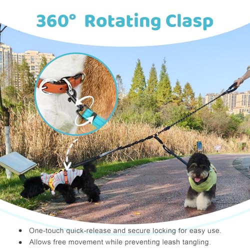 Double Dog Leash - No Tangle Splitter for Two Dogs, Coupler with Adjustable Long Lead Rope, Dual Control Handles, Retractable No Pull Bungee, Walk Train Small Medium Large 2 Pets (Blue) - color: Blue