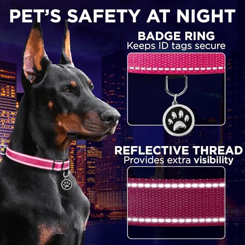 TECEUM Reflective Dog Collar – Hot Pink – L – Extra Soft Padding – Basic Nylon Pet Collar – Quick Release Buckle – Fits Small, Medium and Large Dogs, Puppies, Cats – ESA & Service Dog Options - color: Hot Pink, size: Large