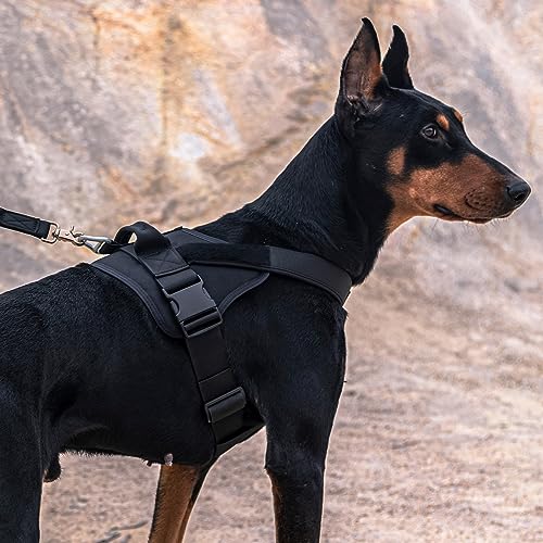 EXCELLENT ELITE SPANKER Tactical Dog Harness Patrol Harness Service Dog Vest Military Dog Vest Working Dog Vest with Handle(Ranger Green-S) - color: Ranger Green, size: S-(23.5 - 29.5")