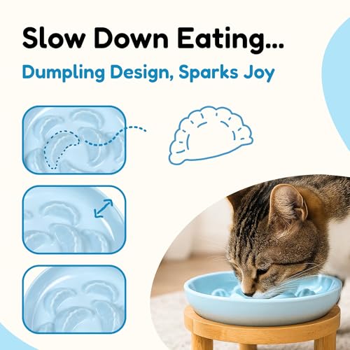 Slow Feeder Bowl, 6.3″ Elevated Cat Bowl with Stand, Melamine Wide Shallow Food Bowl, Whisker-Friendly Raised Plate, Wet Food Feeder for Slow Eating (Blue) - color: Blue, size: 1 Pack with Stand - 6.3''W x 1.5''H