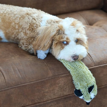 SPOT Skinneeez Raccoon 23 Inch Stuffing-Free Dog Toy – Soft Plush Tug Toy with Two Squeakers for Medium and Large Dogs – Mess-Free Interactive Chew Toy - style: Raccoon