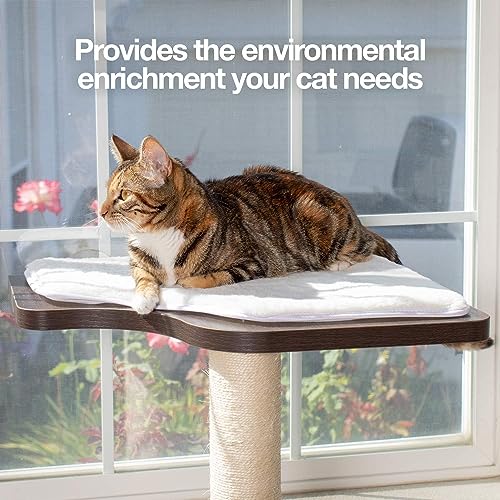 PetFusion Ultimate Cat Window Climbing Perch 45” Tall (Tree Sisal Scratching Posts, Modern Design Simply Suctions to Window. (EASY TO ASSEMBLE)