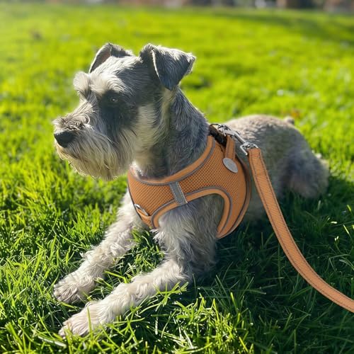 Joytale Small Dog Harness, Breathable Mesh Step-in Vest, Reflective Soft Padded Harnesses for Cats, Puppies and Extra Small Dogs, Brown, XXS - color: Brown, size: XXS--Chest: 12-13.5''