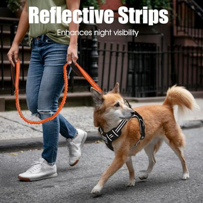 BUMBIN 6Ft Dog Leash - Large Dogs, Bungee Leash with 2 Handles, Heavy Duty, No Pull Shock Absorbing, Orange - color: Orange