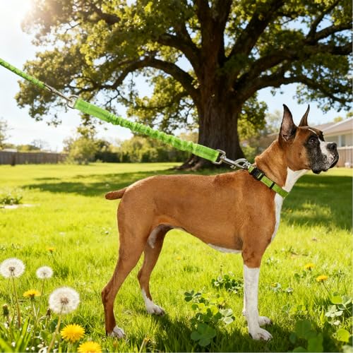 Bungee Dog Leash Extension, 18”Dog Shock Absorber Extender, Works with Any Leash for Walking, Jogging, Training, Playing (Green) - color: Green
