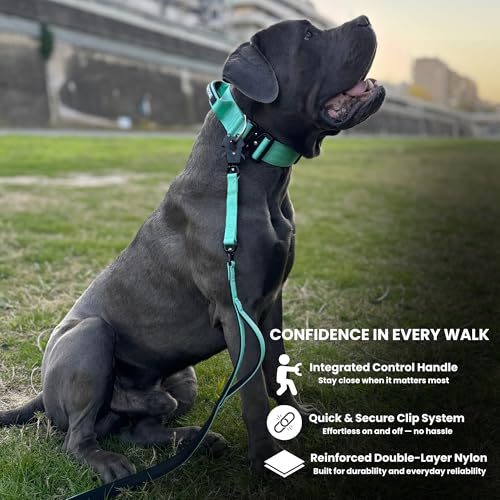 BULLYBREED | Heavy Duty Dog Leash, Tactical Dog Leash, Quick Release Frog Clip with Anti-Tangling Swivel System for Large Dogs that Pull with Soft Double Handles (5 FT Long, Aquamarine) - color: Mint Green Double Handle