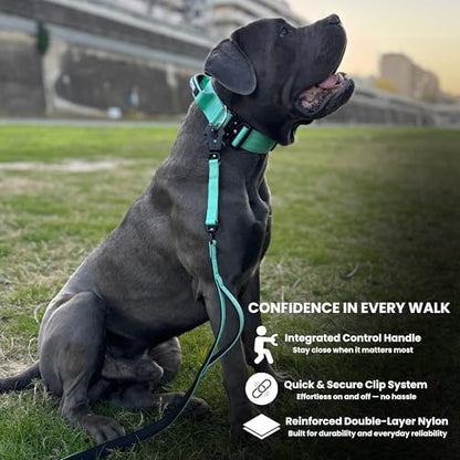 BULLYBREED | Heavy Duty Dog Leash, Tactical Dog Leash, Quick Release Frog Clip with Anti-Tangling Swivel System for Large Dogs that Pull with Soft Double Handles (5 FT Long, Aquamarine) - color: Mint Green Double Handle