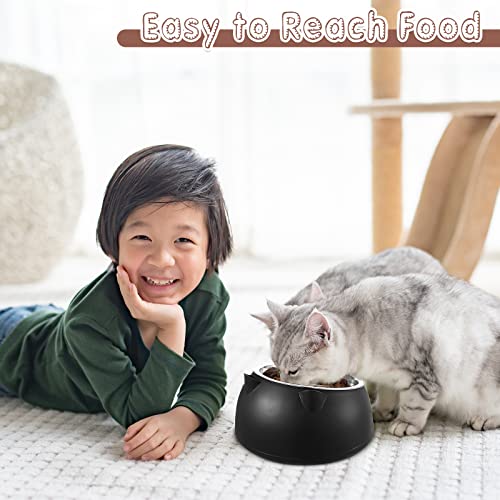 Irenare Elevated Cat Bowls 4 Pack, Stainless Steel Slanted Food Dishes 7 oz, Raised Pet Bowls for Cats Small Breeds, Ergonomic Kitten Puppy Feeding Set for Digestion Health, Easy Clean(6.76oz)