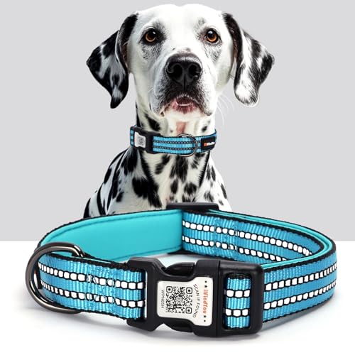 Reflective Dog Collar with QR Code Tag, Personalized Dog Collar, Safety Night Visibility, Anti-Loss Function (Blue, Medium) - color: Blue, size: Medium