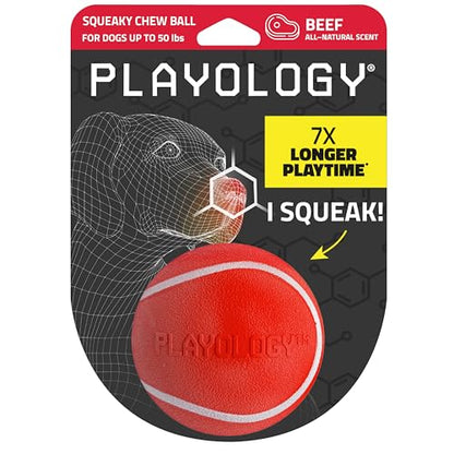 Playology Dog Toys | Squeaky Chew Ball - Bouncy Durable Floating Fetch Ball for Dogs | Medium Beef Scented Toy - Easy to Clean and Made from Non Toxic Materials - size: Medium, style: Beef