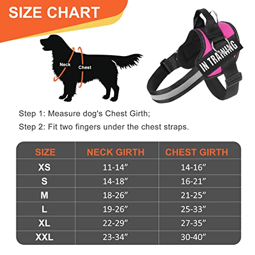 Essential Dog Harness, No Pull Pet Harness with 3 Side Rings for Leash Placement, No Choke, Reflective, Adjustable Pet Vest, Easy On-Off & Improved Control Handle, Training, Walking, Running - size: L(Neck:19-26",Chest:25-33")