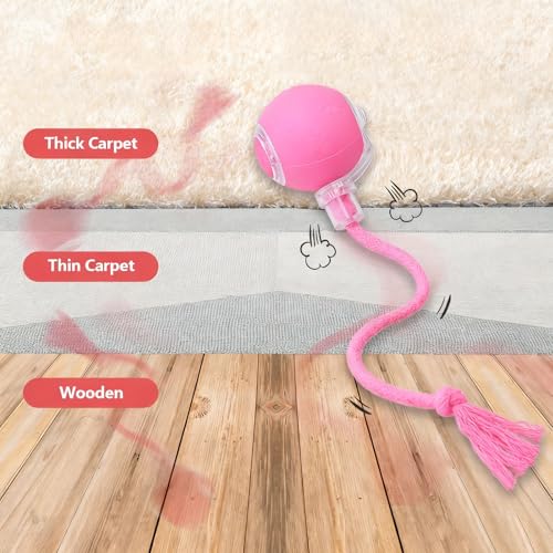 FUNNYDUCK Speed 2.0 Tail Interactive Cat Toy – Motion-Activated Rolling Ball with Chirping Sounds, USB Rechargeable Smart Ball Toy for Indoor Cats & Kittens, Enrichment & Exercise - color: Pink