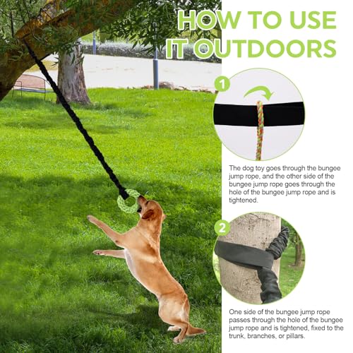 Dog Rope Toys Set with Door Anchor, Interactive Bungee Tug Toy for Indoor and Outdoor Play, Black and Green