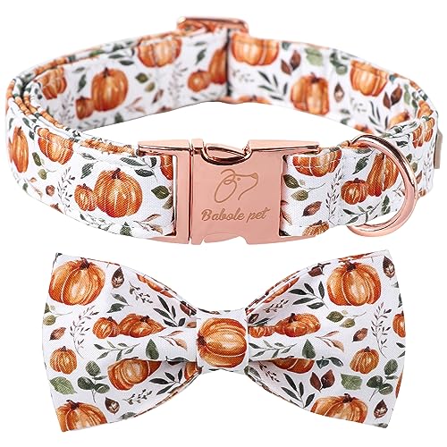 Pumpkin Dog Collar with Bow Tie - Fall Halloween Thansgiving Designer Dog Collars, Adjustable Cotton Metal Buckle Bowtie Collar for Small Medium Large Boy Girl Dogs XS - color: B-White Pumpkin, size: XS