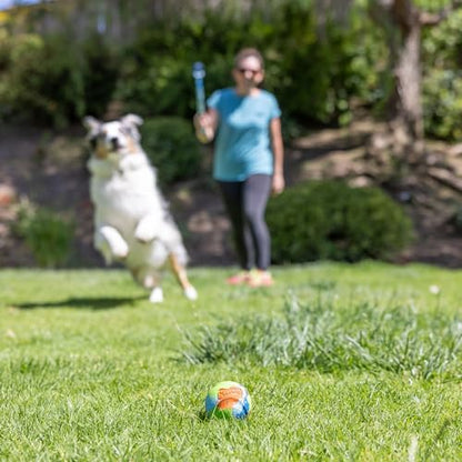 Chuckit! Limited Edition EcoFetch Ball Dog Toy, Medium (2.5 Inch Diameter) Pack of 3, for Breeds 20-60 lbs - style: EcoFetch