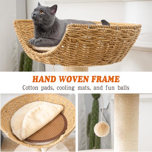 Natural Wood Modern Cat Tree with Top Cats Bed, Unique Cute Cats Furniture Activity Centre with Sisal Rope Scratching Posts, Cats Tower Condo with Interactive Cat Toy Tree - color: SCT004 new-1
