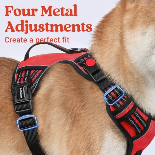 rabbitgoo Dog Harness Small Sized Dog, No Pull Pet Harness with Soft Padded Handle, Adjustable Reflective Vest with 3 Buckles, Easy Walking Harness with 2 Leash Clips, Red, S - color: Red, size: Small