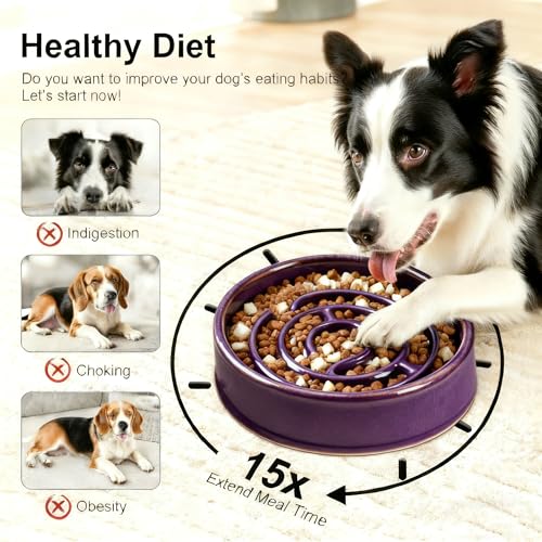 Ceramic Slow Feeder Dog Bowls with Anti-Slip, Slow Feeder & Non-Slip Design, Boredom and Anxiety Reducer, Suitable for All Breed Dogs and Cat (Ceramic-Purple) - color: Ceramic-Purple