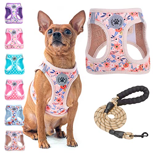 BEAUTYZOO Step in Dog Harness and Leash Set, Floral Pattern Reflective Dog Harness No Pull No Choke Puppy Harness for XXS XS S Dogs Cats, Soft Padded Mesh Vest Harnesses for Girl and Boy Pets - color: Pink Rose, size: XX-Small(Chest Girth 11.5"-13")