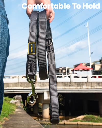 Heavy Duty Leash for Large Dogs that Pull, Two Handle Dog Leash, Three-Layer Sandwich Mesh-Lined Nylon Webbing, Sturdy Metal Zinc Hook, 6FT Long, Large Medium Dogs (Black/Grey, 1'' X 6ft.) - color: Black/Grey, size: 1'' X 6ft.