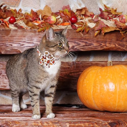 ADOGGYGO Thanksgiving Cat Collars with Removable Flower Bell, Adjustable Thanksgiving Fall Pumpkin Floral Collars for Girl Cats & Kittens - color: Thanksgiving