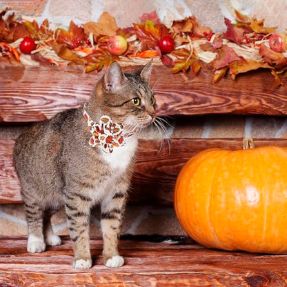 ADOGGYGO Thanksgiving Cat Collars with Removable Flower Bell, Adjustable Thanksgiving Fall Pumpkin Floral Collars for Girl Cats & Kittens - color: Thanksgiving