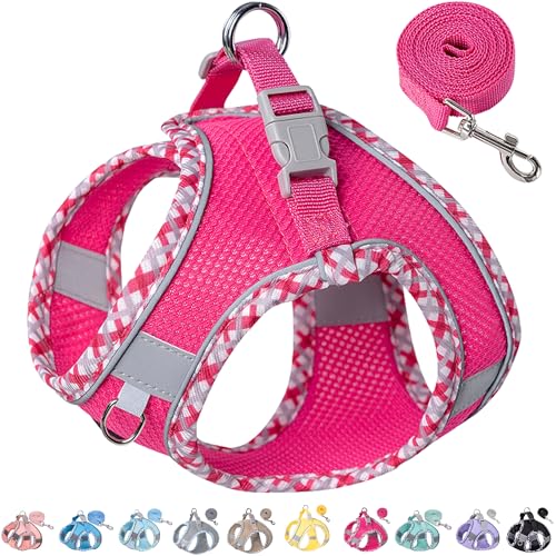 Petank Dog Harness for Small Medium Dogs No Pull, Puppy Harness and Leash Set for Walking, Running, Training, Small Dog Harness, Medium Dog Harness (Rose Red, XXS) - color: Rose Red, size: XXS