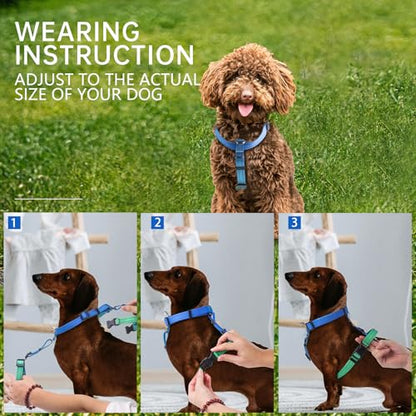 Roses&Poetry Dog Harness Small Sized Dog, 6 Point Adjustable Fit No Pull Harness with Handle for Control and Easy Walking, Reflective Pet Halter Harnesses（Bluegreen-S） - color: BlueGreen（Harness Only Without Leash）, size: S