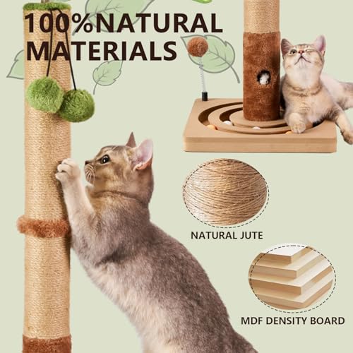 MECOOL Cat Scratching Post Sturdy and Premium Scratch Posts with Hanging Ball and Ball Track Toy Cute Cat Tree 30in for Indoor Kittens - size: 30 inches for Kittens